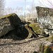 Biruliškių gynybiniai įtvirtinimai yra Kaunas mieste