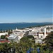 Napier