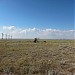 Донузлавская ветровая электростанция