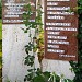 Német kitelepítettek emlékköve in Budakalász city