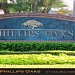 Phillips Oaks in Orlando, Florida city