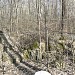 Palemono - Naujasodžio linijos gynybiniai įtvirtinimai yra Kaunas mieste