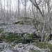 Palemono - Naujasodžio linijos gynybiniai įtvirtinimai yra Kaunas mieste