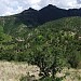 Cumbres de Majalca National Park