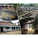 Sundanese: Syekh Maulana Mansyuruddin Cikadueun – Pandeglang”