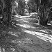 Maple Canyon Open Space Park in San Diego, California city