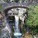 Mount Rainier National Park