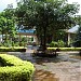 Trường PTTH Pleiku trong Thành phố Pleiku thành phố