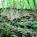 Сastle Krevgrad Ruins