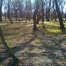 Stary Ogród in Radom city