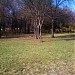 Stary Ogród in Radom city