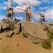 Model of ancient Tuvan statues