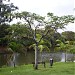 Parque João Câncio Pereira   
