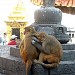 Cluster of Statues in Kathmandu city