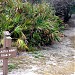 Canaveral National Seashore