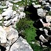 Nuraghe and Settlement nuragic of Ruinas