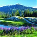 Chateau Whistler Golf Club