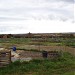 Charlton Down Allotments