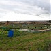 Charlton Down Allotments