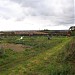 Charlton Down Allotments