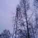 Тригонометрический пункт 