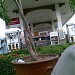 Shell Gas Station in Las Piñas city