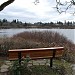 Swan Lake Christmas Hill Nature Sanctuary