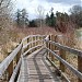 Swan Lake Christmas Hill Nature Sanctuary