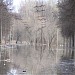 Приокский лесопарк в городе Рязань
