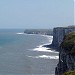 Bempton Cliffs RSPB Reserve