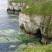 Flamborough Cliffs nature reserve