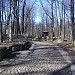 Smolenskoye Lutheran Cemetery