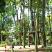 Park 1000-lecia (Mini ZOO Leszno) in Leszno city