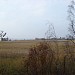 Meadow in Riga city