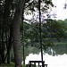 Instituto Florestal - Floresta do Tibagi