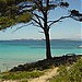 Porquerolles Island