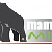 Mammothmind Enterprise in Parañaque city
