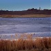 Болото в городе Жезказган
