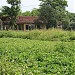 Võ Thánh Miếu trong Thành phố Huế thành phố
