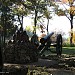 Old guns in Pleven city