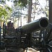 Old guns in Pleven city