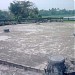 Nền điện Bồng Doanh  trong Thành phố Huế thành phố