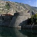 Башня Кампана (ru) in Котор city