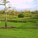 Alejandro / Natividad Arizabal Farmland