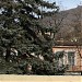 Дом Богдановых в городе Пятигорск