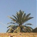 Mansoor Ahmed ( house ) in Ghotki   city