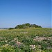 Nuraghe Biunisi