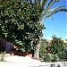 Gartenanlage (de) en la ciudad de Denia (Comunitat Valenciana)