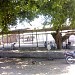 Bazaar