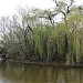 Ducks' Island in Bucharest city